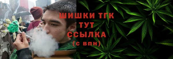сатива Медногорск
