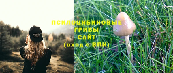 сатива Медногорск